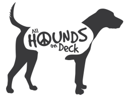 ALL HOUNDS ON DECK